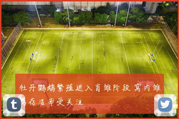 牡丹鹦鹉繁殖进入育雏阶段 窝内雏鸟存活率受关注
