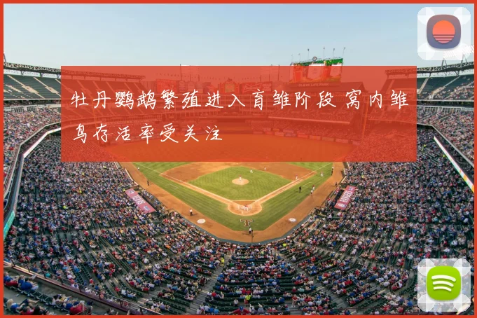 牡丹鹦鹉繁殖进入育雏阶段 窝内雏鸟存活率受关注